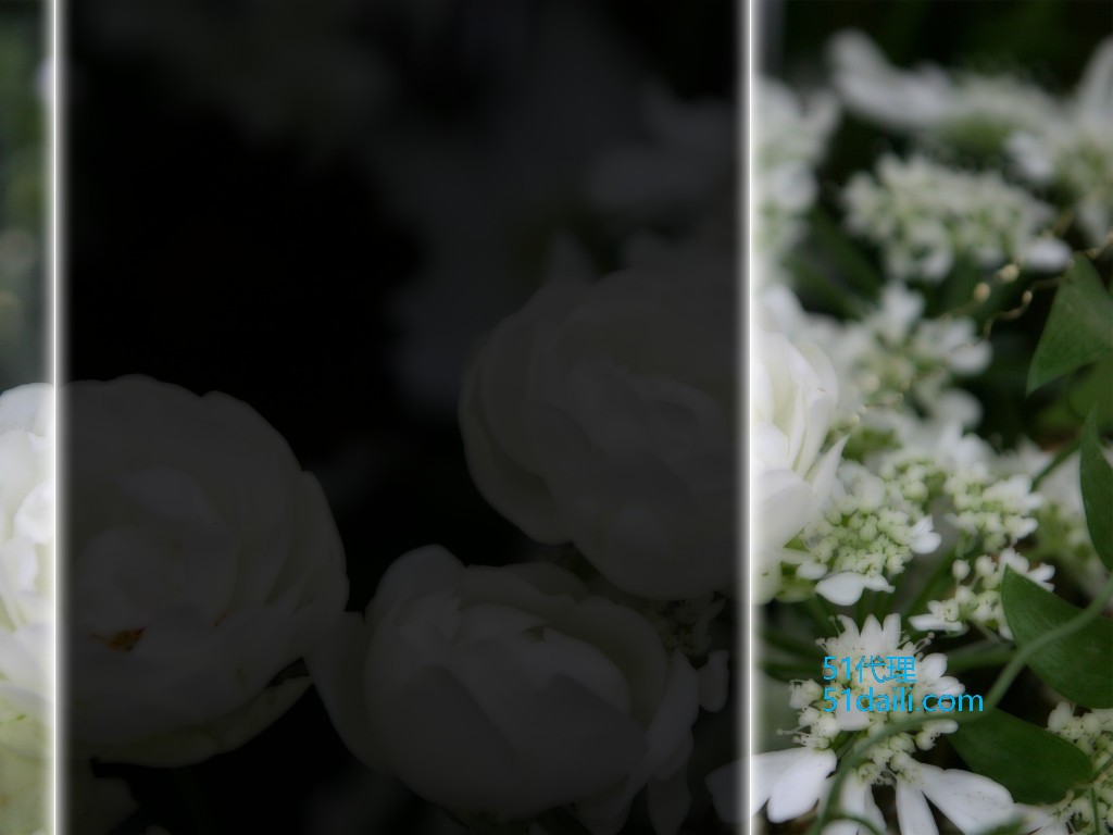 <a href='https://www.51daili.com'>中国免费ip代理地址</a>